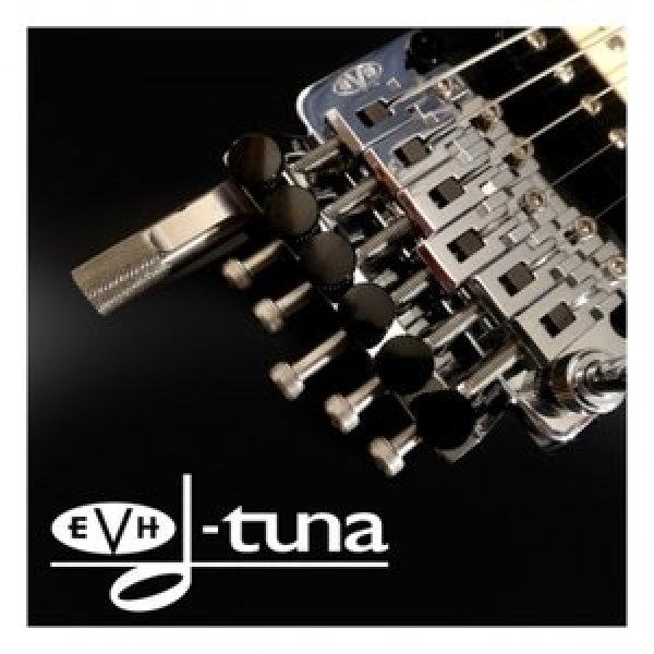 evh d-tuna Dチューナー