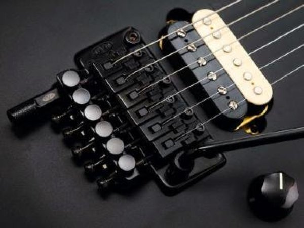 画像1: EVH D-tuna Drop D Tuning System / Black (1)