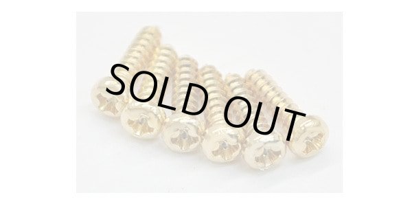 画像5: SCHALLER ( シャーラー ) / M6 mini GO (3L3R)/全国一律送料無料 (5)