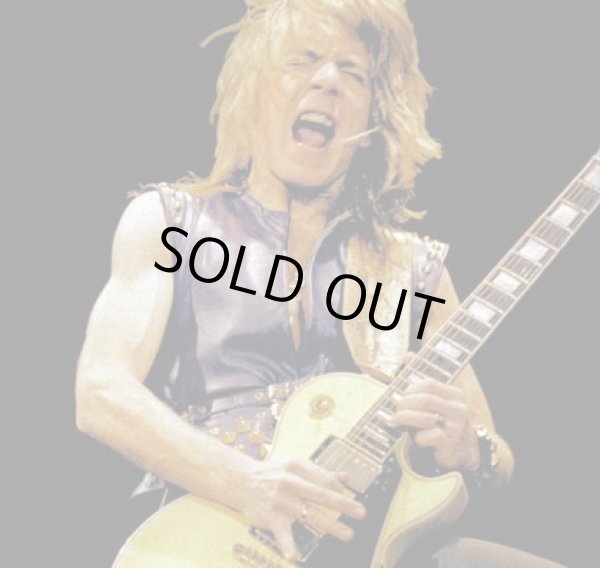 画像4: Gibson Les Paul Pickguard Randy Rhoads/ランディーローズ/ピックガード/全国一律送料無料 (4)