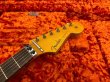 画像3: Fender Custom Shop Alley Cat Stratocaster Heavy Relic HSS Floyd Rose Rosewood Board Torino Red/新品/全国一律送料無料！ (3)