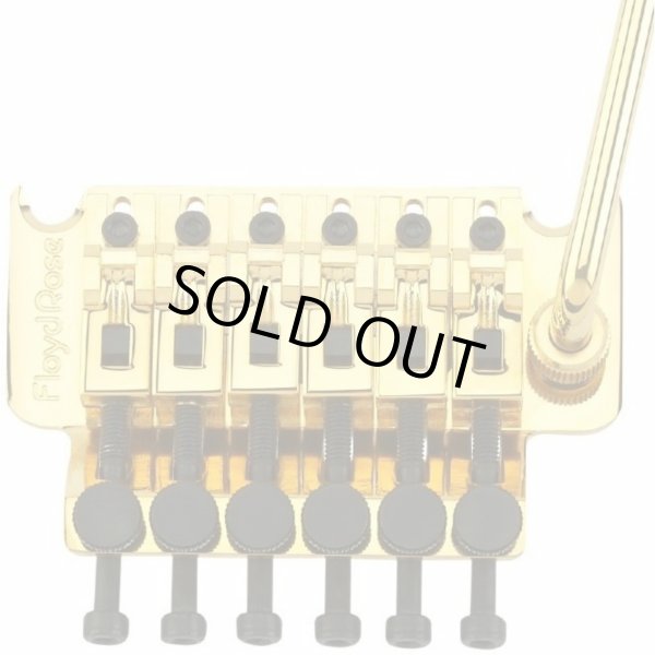 画像1: Floyd Rose FRT300 Original Series Tremolo System, Gold R2Nat/サスティーンブロック37mm/フロイドローズオリジナル/全国一律送料無料! (1)