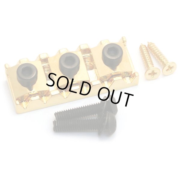 画像2: Floyd Rose FRT300 Original Series Tremolo System, Gold R2Nat/サスティーンブロック37mm/フロイドローズオリジナル/全国一律送料無料! (2)