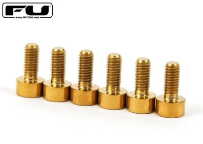画像1: FU-Tone Titanium Saddle Mounting Screw Set (6) –  Gold/フロイドローズ/チタン製サドルマウントスクリュー/トレモロパーツ/全国一律送料無料