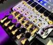 画像2: FU-Tone Titanium Saddle Mounting Screw Set (6) –  Gold/フロイドローズ/チタン製サドルマウントスクリュー/トレモロパーツ/全国一律送料無料 (2)