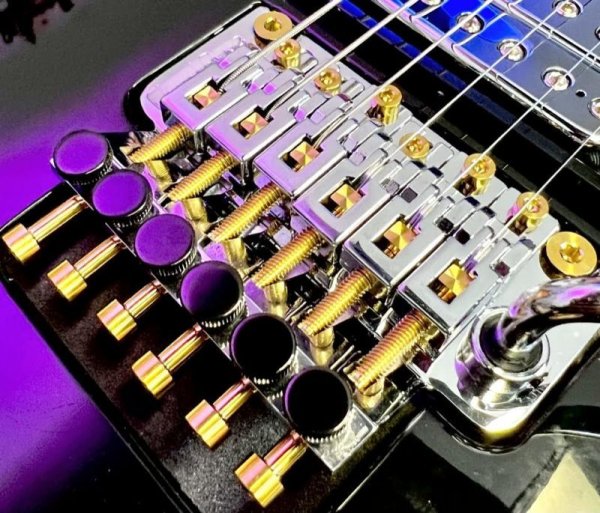 画像2: FU-Tone Titanium Saddle Mounting Screw Set (6) –  Gold/フロイドローズ/チタン製サドルマウントスクリュー/トレモロパーツ/全国一律送料無料 (2)