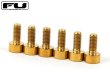 画像1: FU-Tone Titanium Saddle Mounting Screw Set (6) –  Gold/フロイドローズ/チタン製サドルマウントスクリュー/トレモロパーツ/全国一律送料無料 (1)