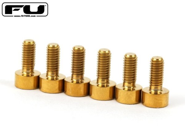 画像1: FU-Tone Titanium Saddle Mounting Screw Set (6) –  Gold/フロイドローズ/チタン製サドルマウントスクリュー/トレモロパーツ/全国一律送料無料 (1)