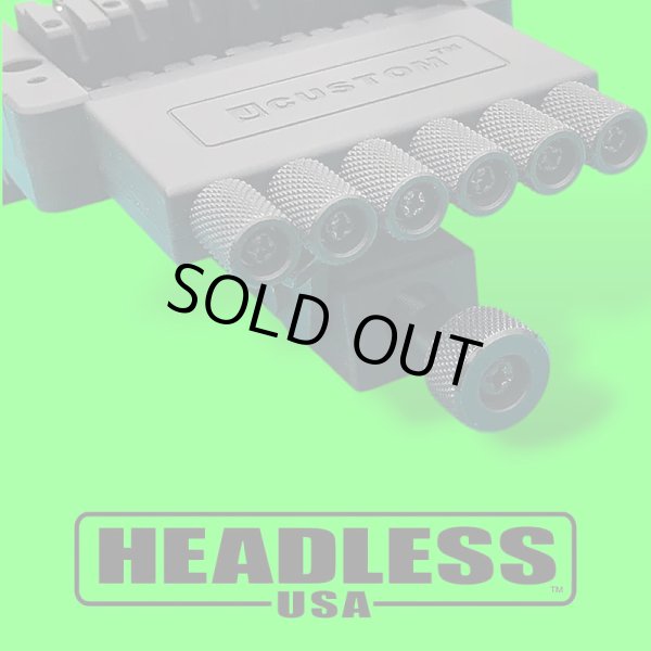 画像4: HEADLESS USA JCUSTOM STEINBERGER R-TREM VIBRATO/スタインバーガー/トレモロ/全国一律送料無料 (4)