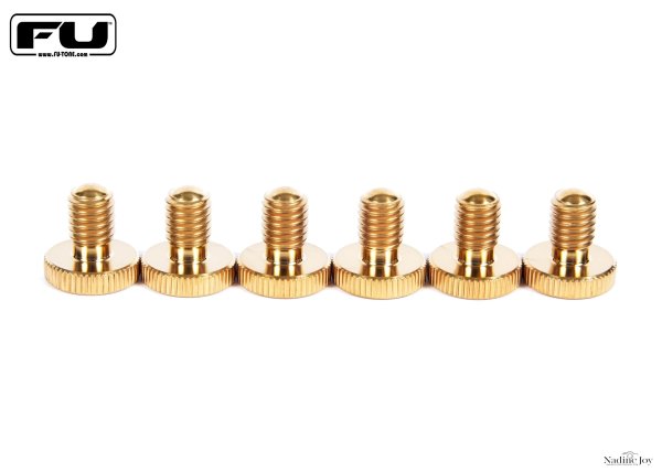 画像1: FU-Tone Titanium Fine Tuners –Gold/チタンファインチューナー 6本セット・ゴールド/全国一律送料無料 (1)