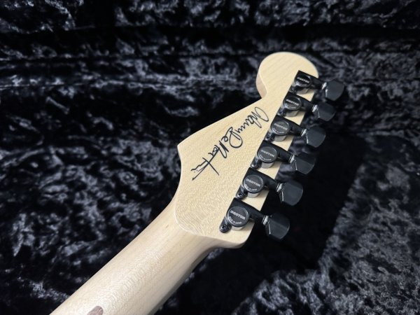 画像9: Charvel USA Custom Shop Warren DeMartini Signature Snake/全国一律送料無料 (9)