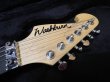 画像15: Washburn N4 Nuno Bettencourt Black/White Splatter/ ウァッシュバーン/新品/全国一律送料無料 (15)