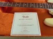 画像7: Fender USA Yngwie Malmsteen Signature Stratocaster / Rosewood/新品全国一律送料無料 (7)