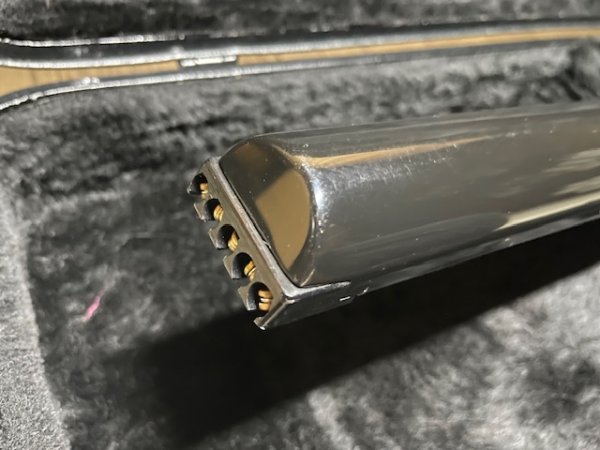 画像14: STEINBERGER XL-25A  Fretless/スタインバーガー/フレットレス/全国一律送料無料 (14)