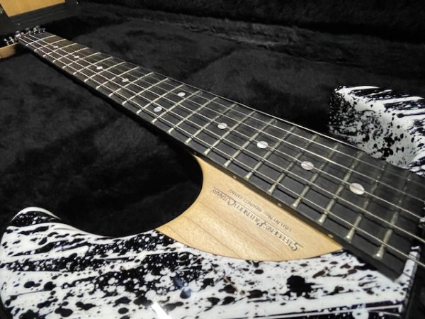 画像14: Washburn USA Custom Shop N4 Nuno Bettencourt Black/White Splatter/ ウァッシュバーン/新品/全国一律送料無料 (14)