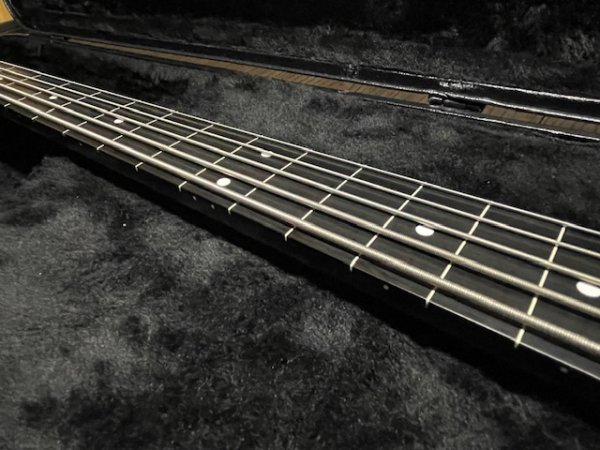 画像9: STEINBERGER XL-25A  Fretless/スタインバーガー/フレットレス/全国一律送料無料 (9)