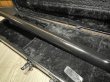 画像13: STEINBERGER XL-25A  Fretless/スタインバーガー/フレットレス/全国一律送料無料 (13)