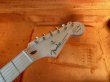 画像3: Fender USA Eric Clapton Stratocaster / ''BLACKIE'/新品全国一律送料無料 (3)