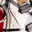 画像9: EVH Custom Shop Wolfgang/Special Edition Relic Black and White Stripes/新品/全国一律送料無料 (9)