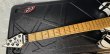 画像15: EVH Custom Shop Wolfgang/Special Edition Relic Black and White Stripes/新品/全国一律送料無料 (15)