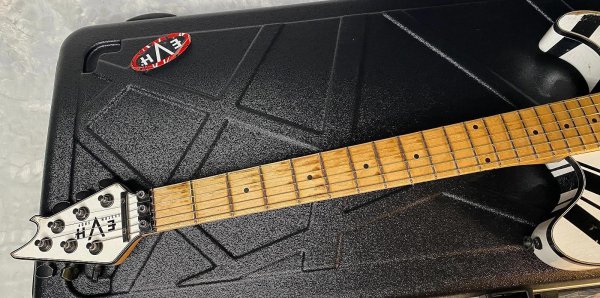画像15: EVH Custom Shop Wolfgang/Special Edition Relic Black and White Stripes/新品/全国一律送料無料 (15)