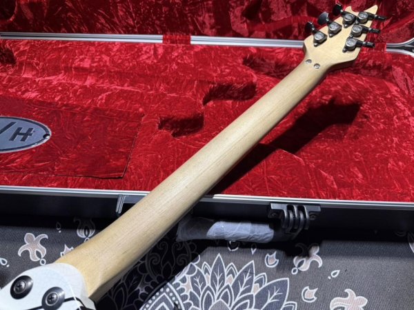 画像6: EVH Custom Shop Wolfgang Special Edition Relic Black and White Stripes (6)