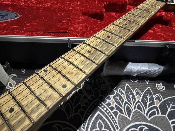 画像3: EVH Custom Shop Wolfgang Special Edition Relic Black and White Stripes (3)