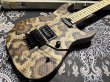 画像3: Charvel USA Custom Shop Warren De Martini/ Signature / SnakeSkin Graphic (3)