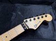 画像3: Charvel USA Warren DeMartini Blood and Skull + D-Tuner (3)