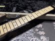 画像4: Charvel USA Custom Shop Warren De Martini/ Signature / SnakeSkin Graphic (4)