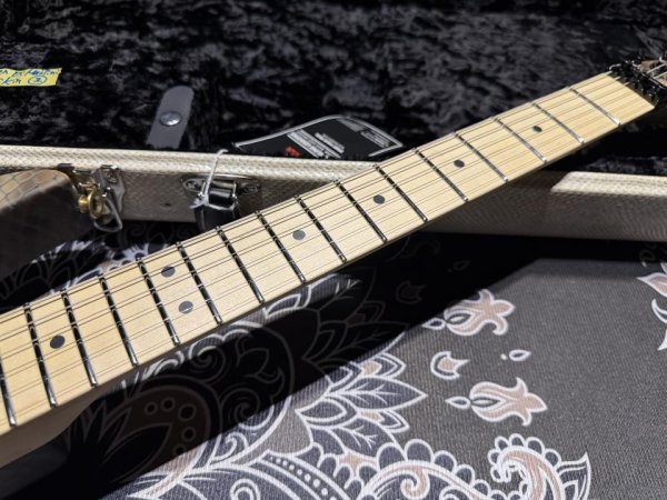画像4: Charvel USA Custom Shop Warren De Martini/ Signature / SnakeSkin Graphic (4)