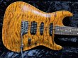 画像1: Suhr Modern Carve Top Standard / Root Beer Stain (1)