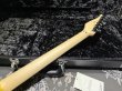 画像8: Fender USA Fender USA Yngwie Malmsteen Signature Stratocaster / Rosewood　(3) (8)