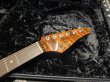 画像5: Suhr Carve Top Standard / Killer Quilt / Jacarandá (5)