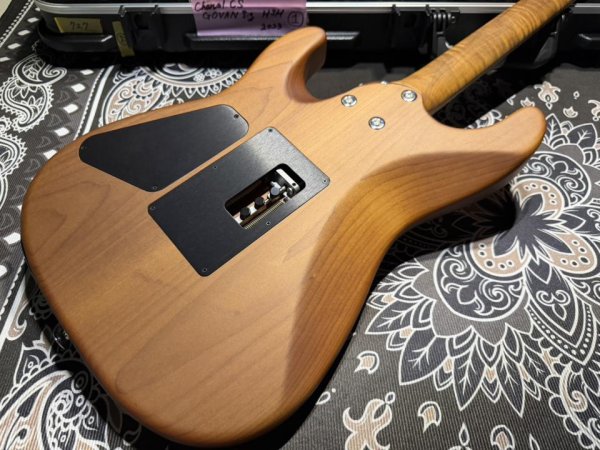 画像7: Charvel Charvel USA Guthrie Govan Signature HSH Flame Maple (7)