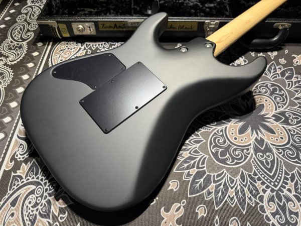 画像7:  TOM ANDERSON Tom Anderson Pro Am Satin Black (7)