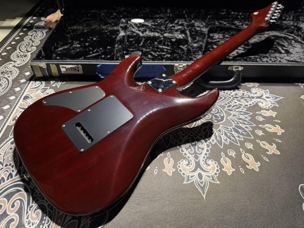 画像7: Suhr Carve Top Standard / Killer Quilt / Jacarandá (7)