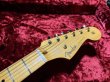 画像5: Fender Custom Shop LTD 70th Anniversary '54 Stratocaster / Black (5)