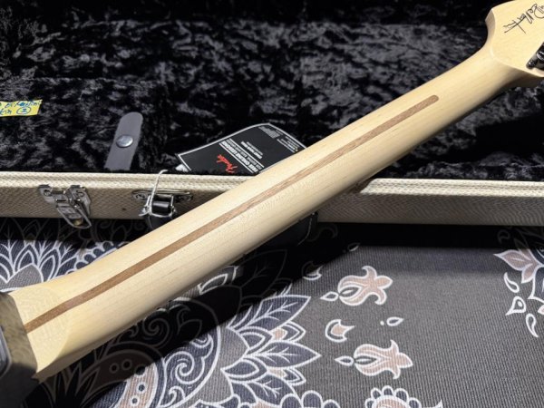 画像8: Charvel USA Custom Shop Warren De Martini/ Signature / SnakeSkin Graphic (8)