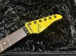 画像5: TOM ANDERSON Tom Anderson Icon Classic / Yellow / S-S-H FRT (5)