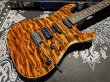 画像2: Suhr Carve Top Standard / Killer Quilt / Jacarandá (2)