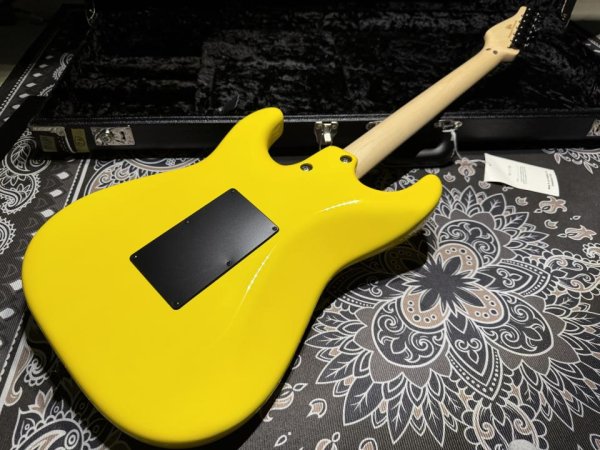 画像6: TOM ANDERSON Tom Anderson Icon Classic / Yellow / S-S-H FRT (6)