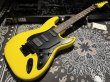 画像2: TOM ANDERSON Tom Anderson Icon Classic / Yellow / S-S-H FRT (2)