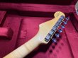 画像9: Fender Custom Shop Limited Edition BVLGARI Stratocaster® /NOS (9)