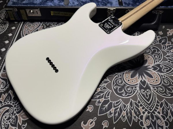画像7: Charvel Charvel USA Custom shop "Jake E. Lee" Signature (7)