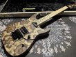 画像2: Charvel USA Custom Shop Warren De Martini/ Signature / SnakeSkin Graphic (2)