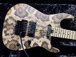 画像1: Charvel USA Custom Shop Warren De Martini/ Signature / SnakeSkin Graphic (1)