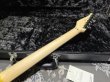画像8:  Fender USA Yngwie Malmsteen Signature Stratocaster / Rosewood (1) (8)