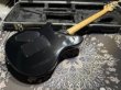 画像7: Peavey Wolfgang Standard Custom Shop 1'st / Build by John Douglas (7)