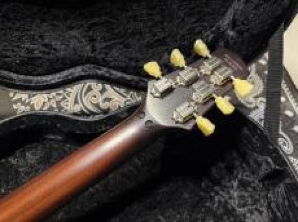 画像9: Tom Anderson Bulldog Locker Light Tiger Eye Burst with Binding (9)